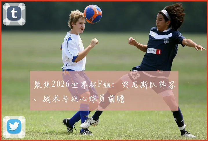 聚焦2026世界杯F组:突尼斯队阵容、战术与核心球员前瞻